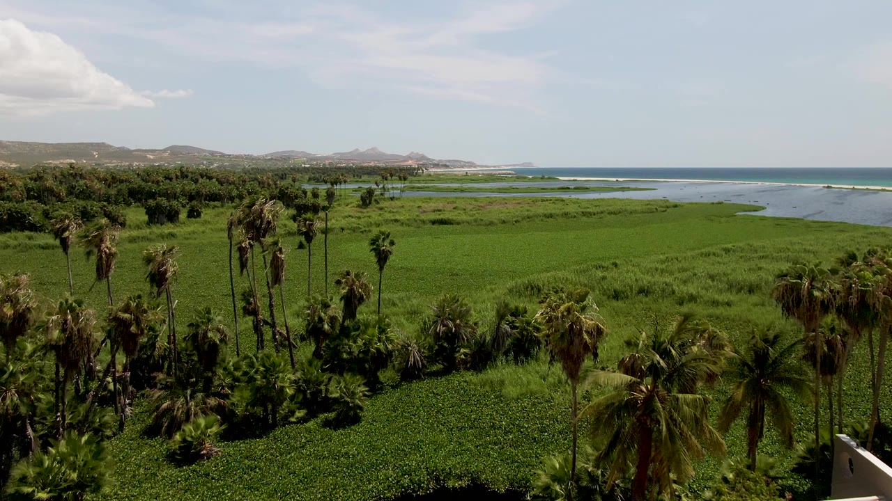 Opening frame of San Jose del Cabo coastal vegetation with palms in the foreground, lagoon water and ocean beyond, distant low hills, and no visible people.