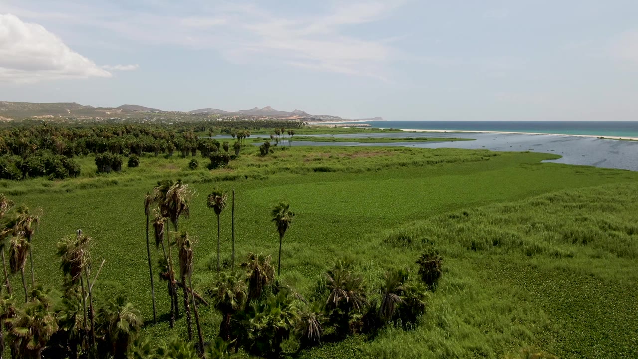 Later frame of the San Jose del Cabo coast where more open green field appears between scattered palms, with lagoon water and ocean in the background and no visible people.