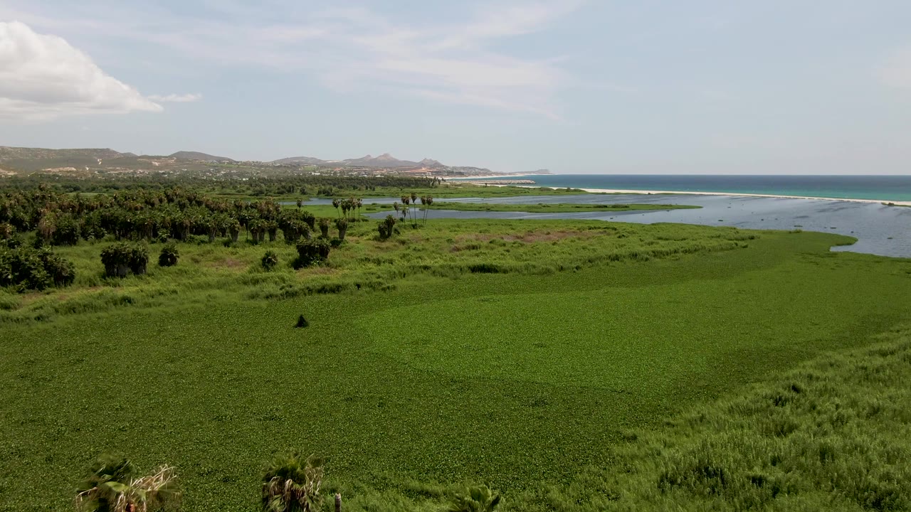 Aerial view of green coastal wetland with ocean and hills beyond.