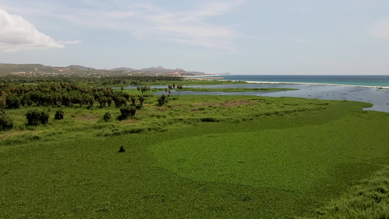 A San Jose del Cabo aerial still shows a broad green wetland field, scattered darker shrubs, reflective water beyond it, a blue ocean strip, distant hills, and no visible people.