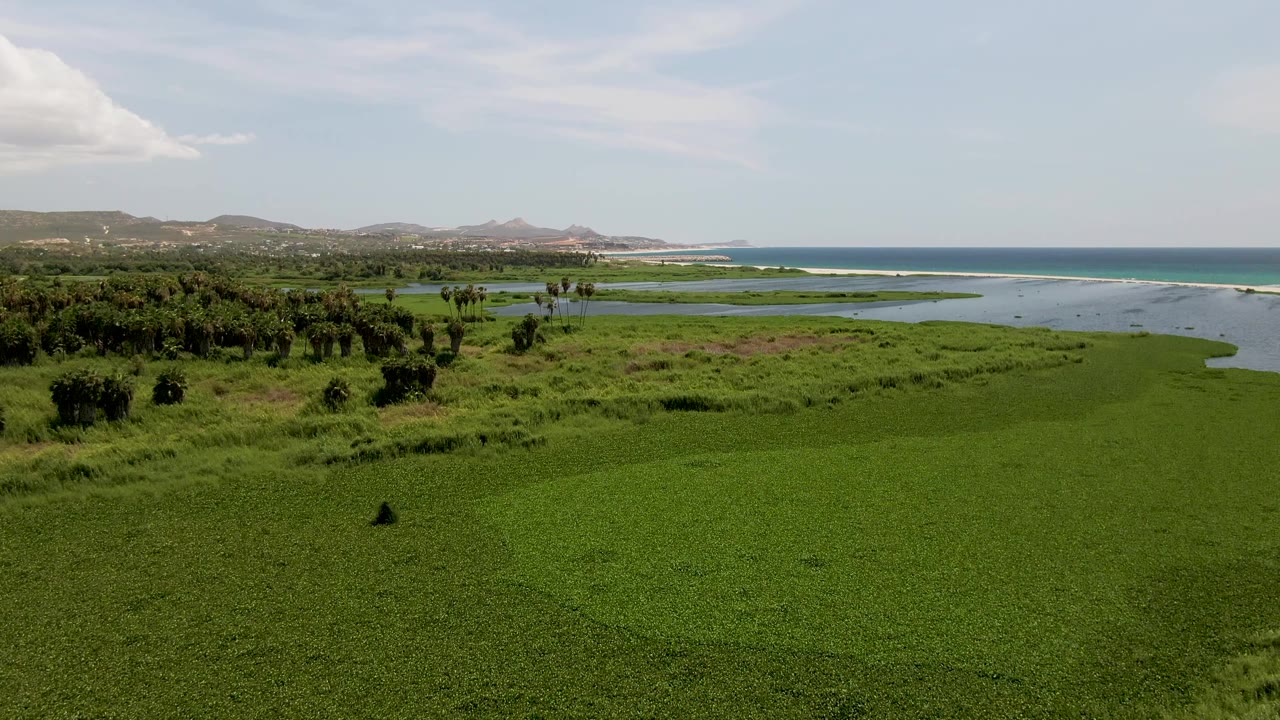 At three seconds, the aerial view over San Jose del Cabo shows wetland grasses in front, a palm and shrub band, coastal water, ocean surf line, mountains in the distance, and no visible people.