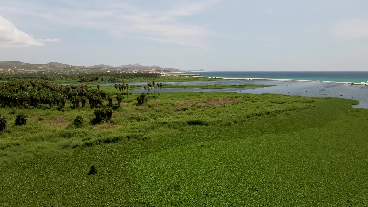 Aerial view of green coastal wetland, lagoon, ocean, hills, and sky.