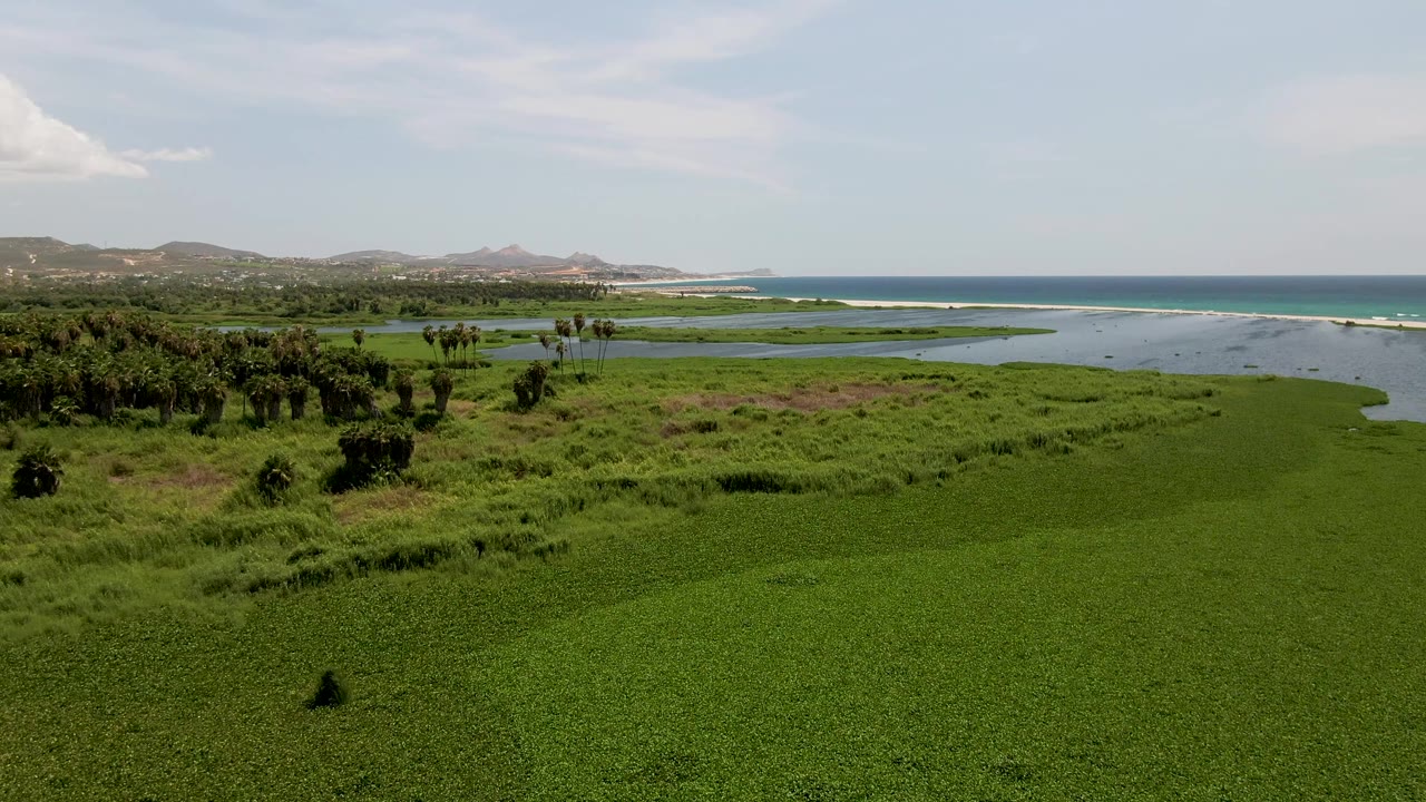 Aerial frame in San Jose del Cabo showing dense green marsh in the foreground, lagoon channels across the middle, blue ocean on the right horizon, distant hills, and no visible people.