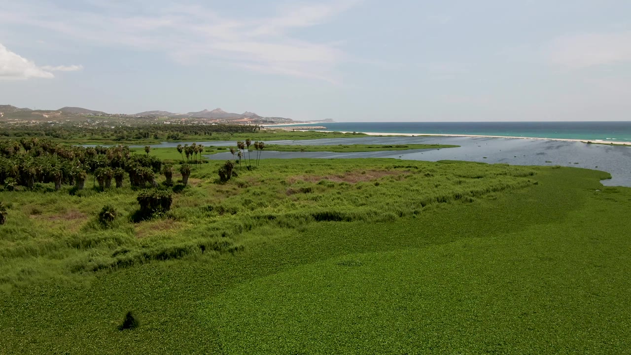 A wide aerial view over San Jose del Cabo wetland vegetation, with lagoon water curving toward the ocean, white surf along the coast, distant hills, and no visible people.