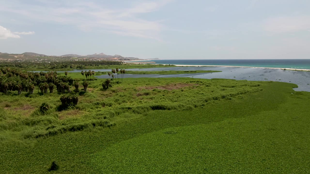 Mid-clip aerial frame in San Jose del Cabo with coastal grass and palm-like trees at left, lagoon water across the center, ocean on the horizon, low hills, and no visible people.