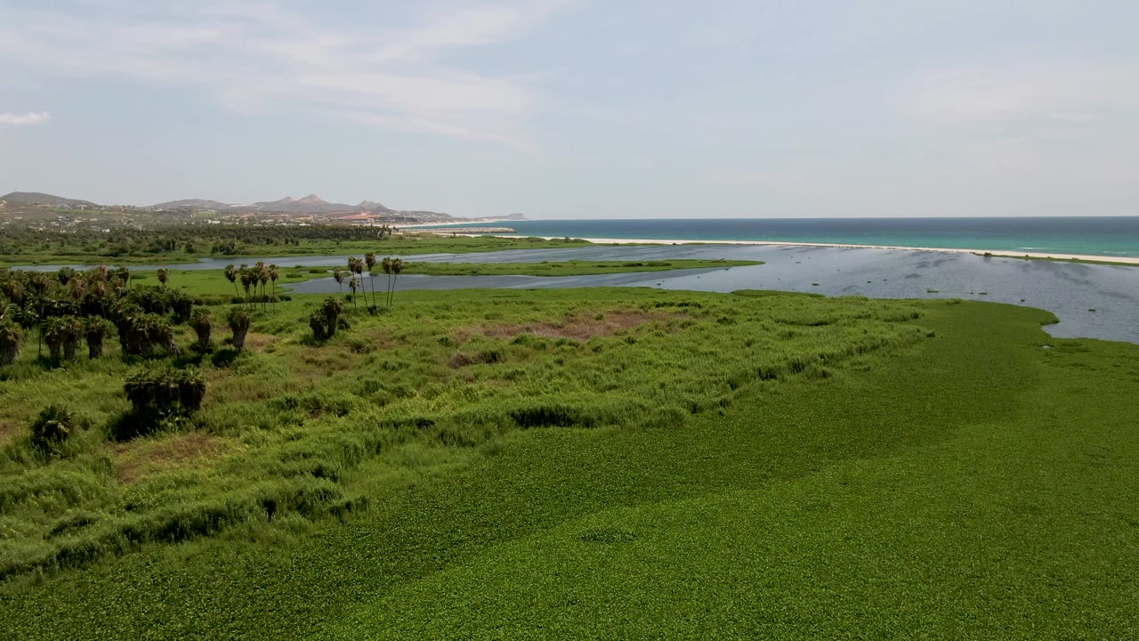 Wide aerial frame over the San Jose del Cabo estuary with dense green vegetation in front, shallow water channels, ocean surf, distant hills, pale clouds, and no visible people.