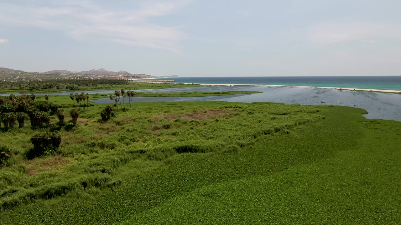 A second aerial moment over San Jose del Cabo shows the marsh foreground slightly shifted, with blue estuary channels, a thin surf line, distant hills, light cloud cover, and no visible people.