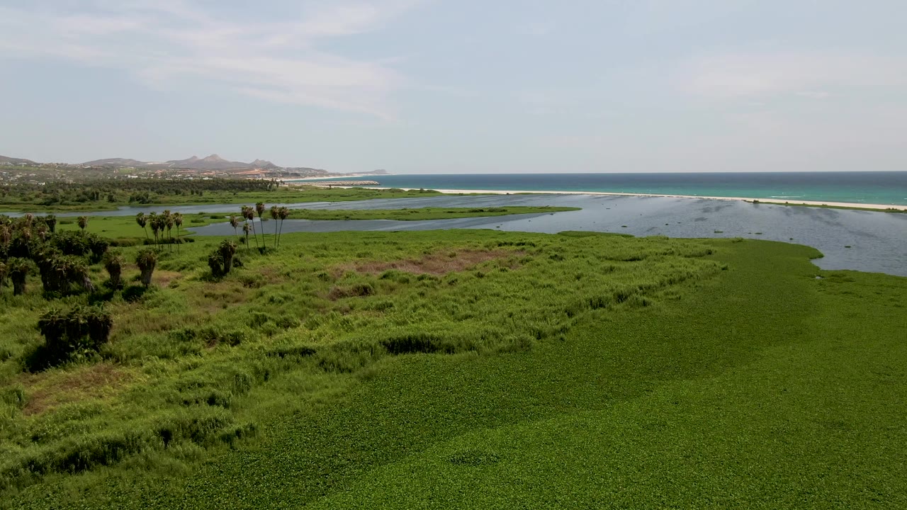 Aerial view in San Jose del Cabo with thick green wetland vegetation below, calm estuary water across the middle, the ocean and surf beyond, low hills on the left, and no visible people.