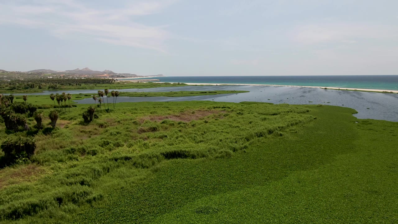 Estuary mouth and grassy wetland seen from above near the ocean