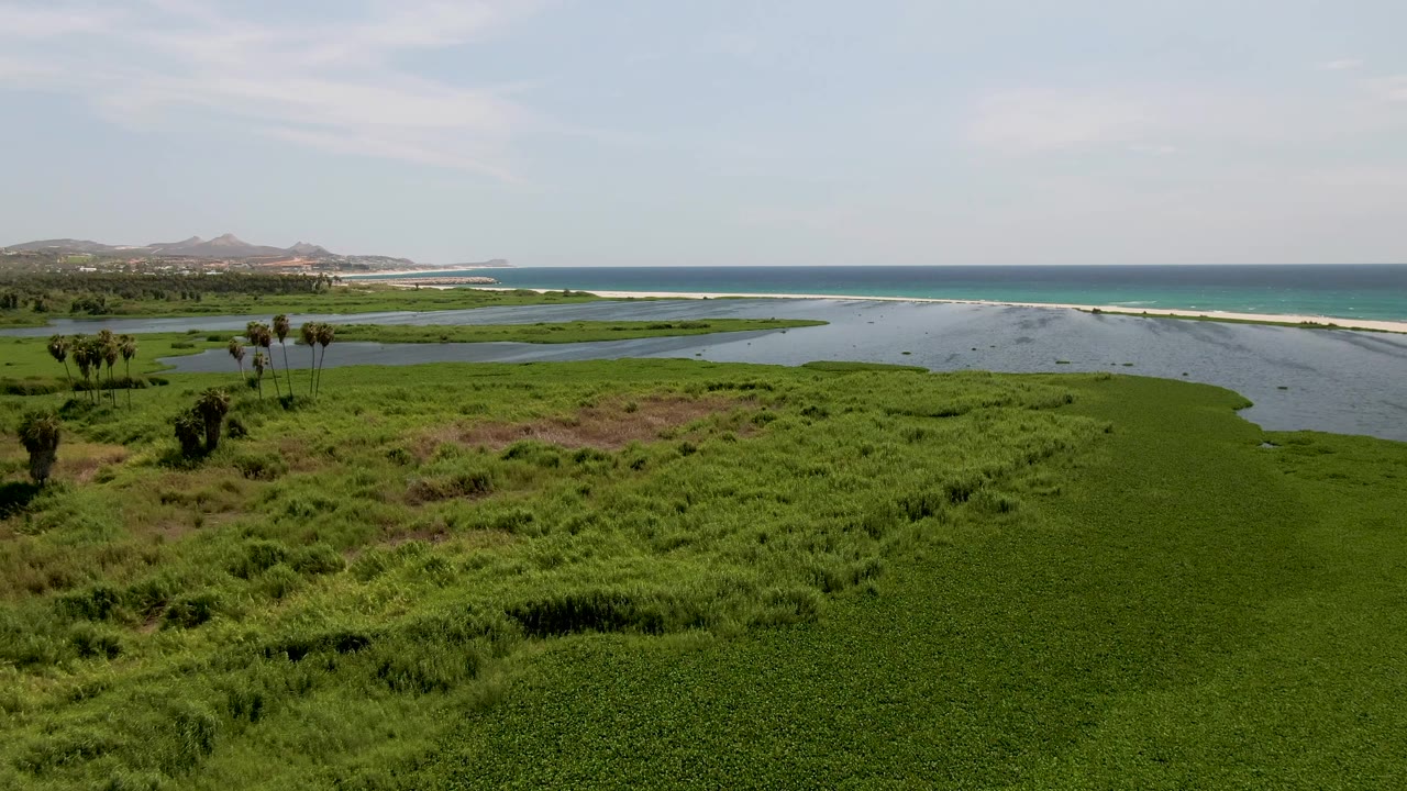 Opening frame of a San Jose del Cabo coastal wetland with dense green marsh in front, lagoon water in the middle, palms at left, ocean and hills beyond, and no visible people.