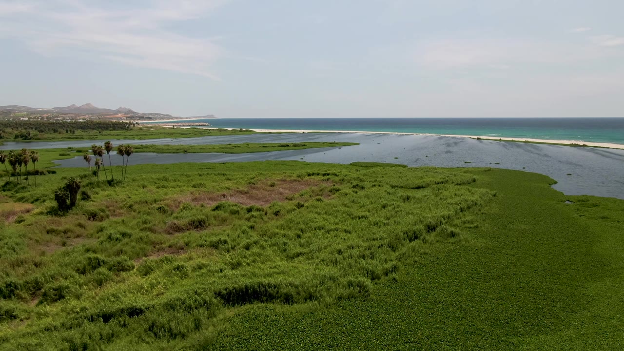 Wide aerial view of green marsh and coastal lagoon