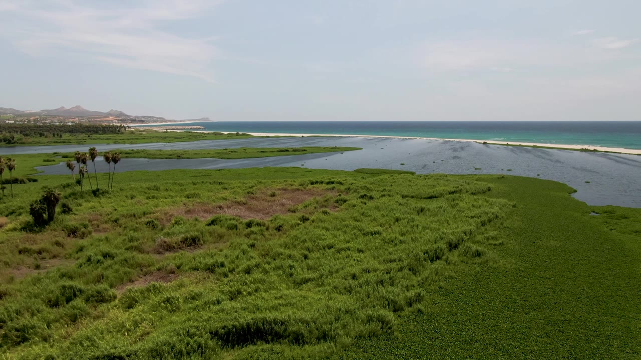 Wide San Jose del Cabo lagoon frame showing green marsh in the foreground, dark water channels through the wetland, a bright sand strip, ocean water, hills to the left, and no visible people.