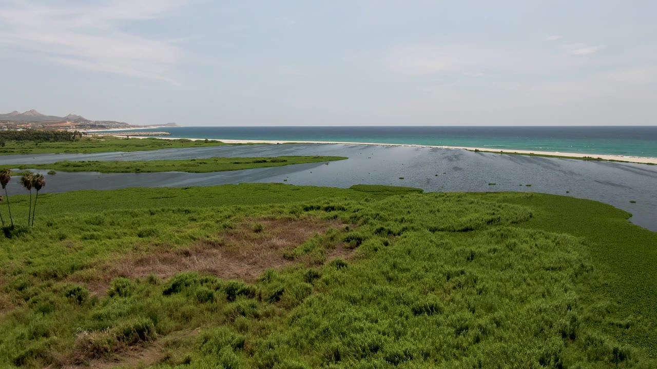 Coastal marsh, lagoon, sandbar, and ocean with palms at the far left.