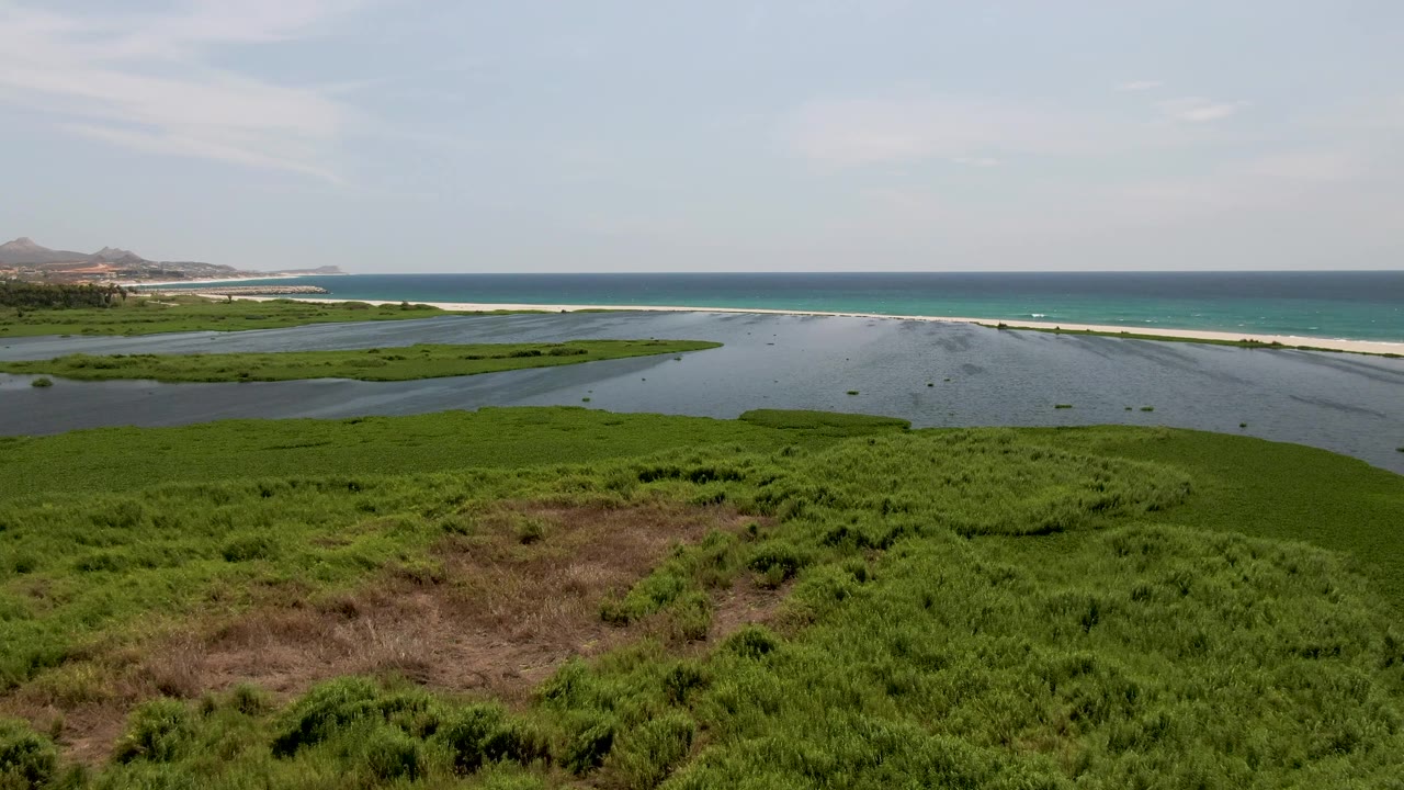A wide San Jose Del Cabo wetland frame shows dense green marsh in front, a calm lagoon channel through the middle, a pale sandbar, blue ocean, and no visible people.