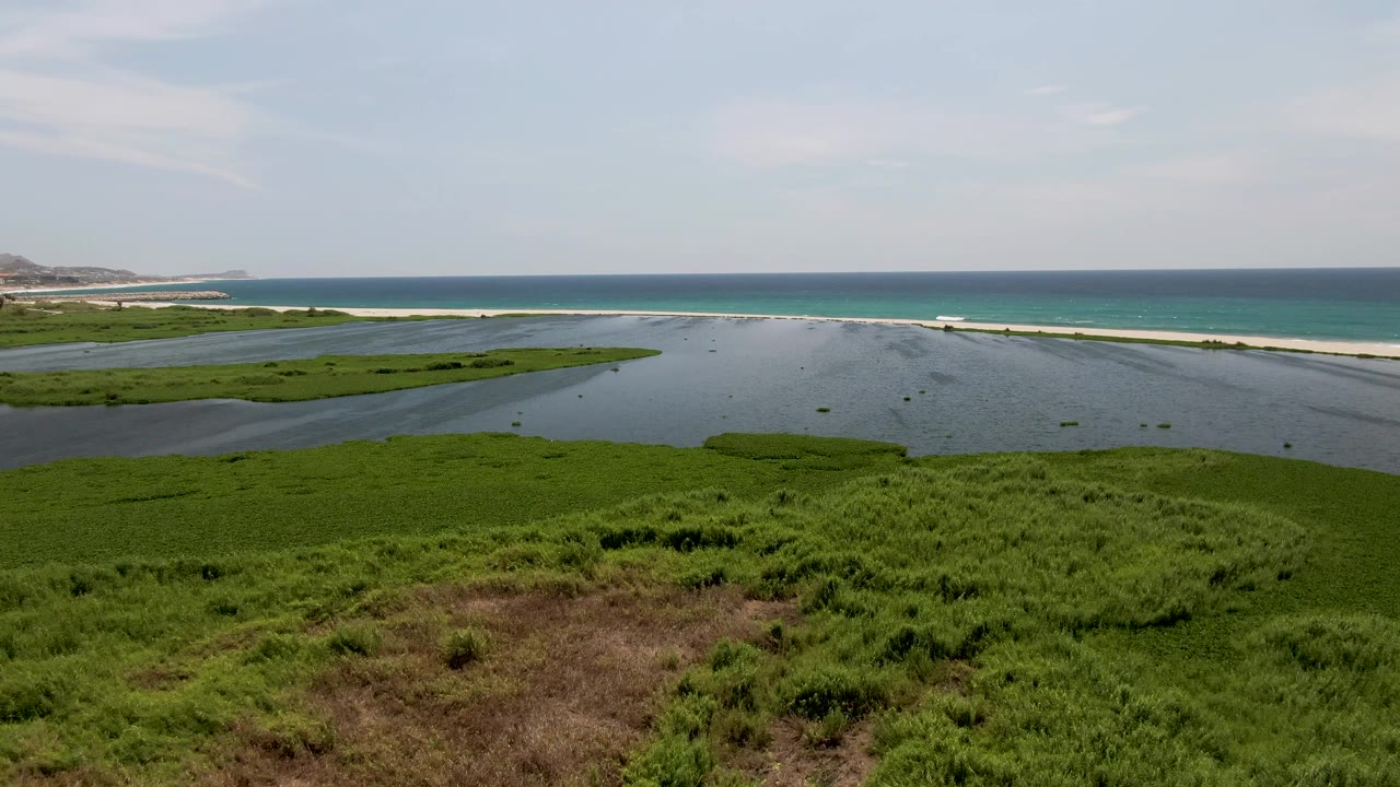 Wide aerial view of a San Jose del Cabo coastal lagoon with green marsh vegetation in front, a sand strip and ocean beyond, and no visible people.