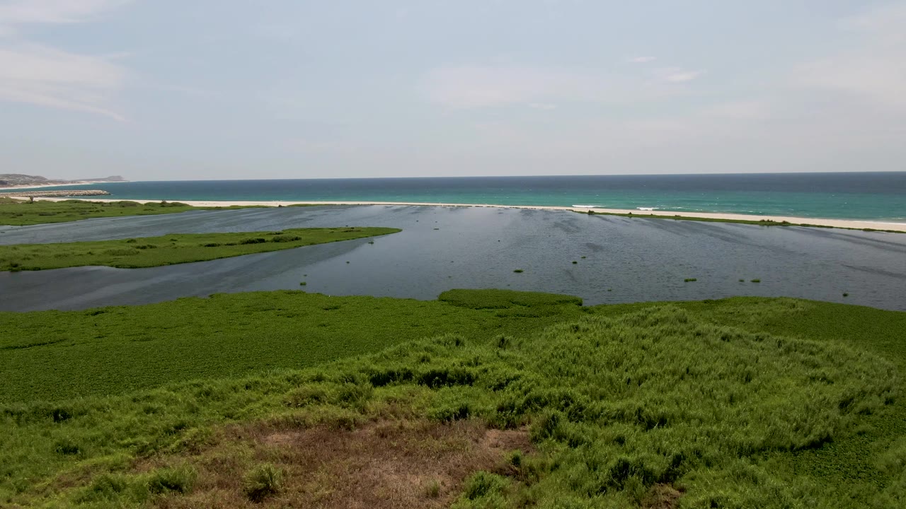 Aerial frame from San Jose del Cabo showing marshland in the foreground, shallow lagoon water with dark floating objects, beach, ocean, and no visible people.