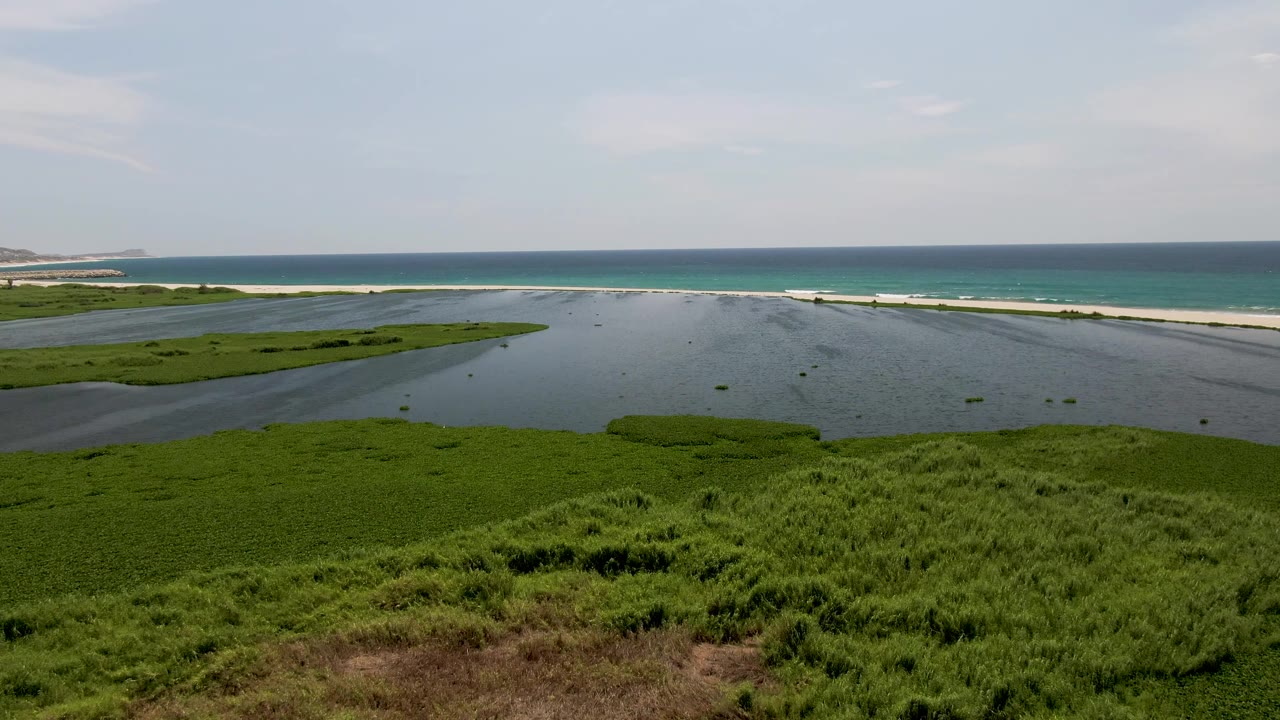 Lagoon and coastal vegetation with ocean waves in the background.