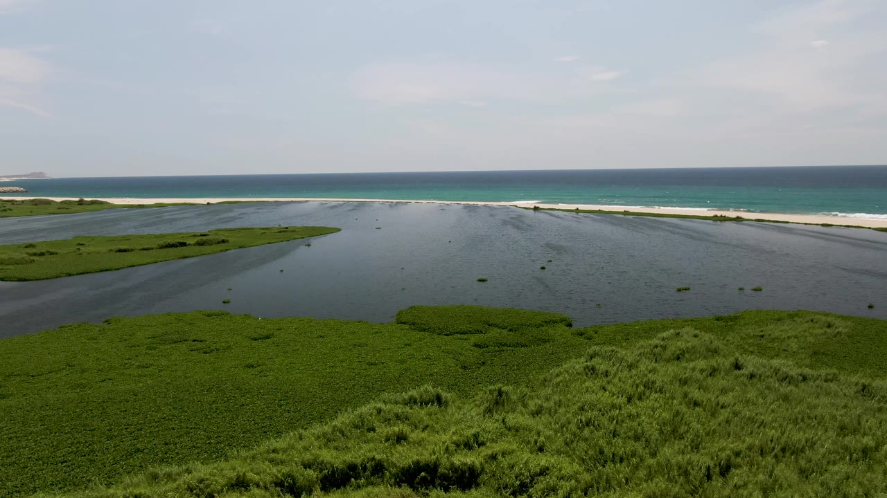 A wide elevated view in San Jose Del Cabo shows green wetland vegetation in front of shallow tidal water, a pale sand shoreline, blue ocean, light clouds, and no visible people.
