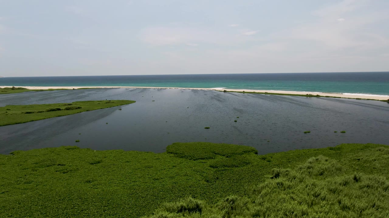 Wide aerial coastal scene with tidal water, green vegetation, sand, and ocean horizon.