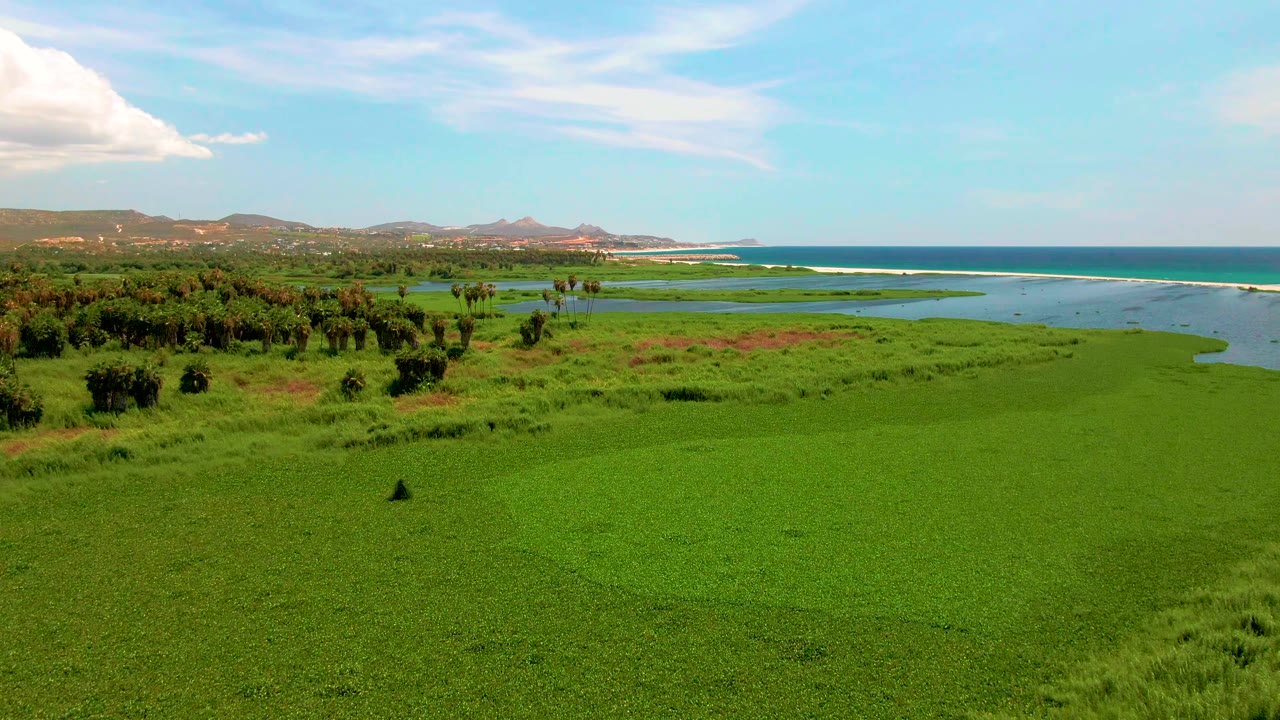 Wide aerial frame over San Jose del Cabo wetland grasses with scattered trees, shallow water, ocean horizon, distant hills, and no visible people.