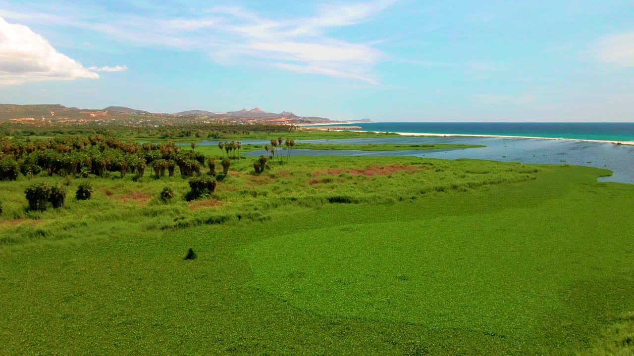 San Jose del Cabo aerial view with dense green grass in front, tree clusters to the left, water channels near the coast, ocean on the right, and no visible people.