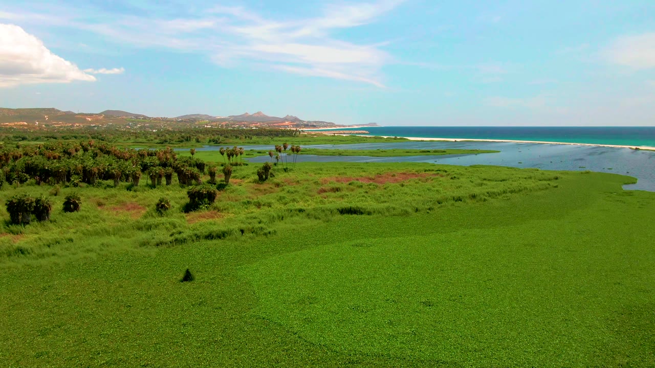 Aerial frame over San Jose del Cabo coastal wetland, showing an uninterrupted green foreground, shallow blue-green water, surf line, low hills, clouds, and no visible people.