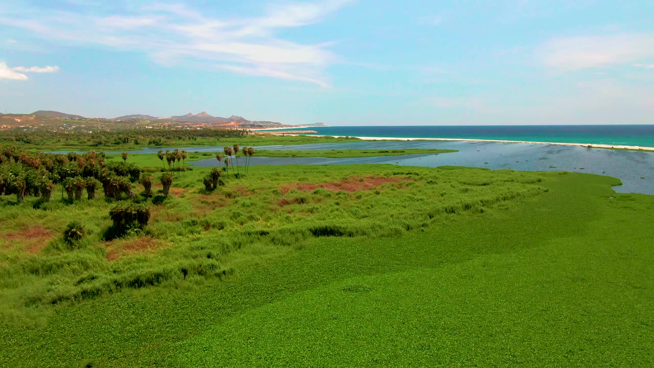Aerial view of green coastal wetland, winding waterway, ocean, sky, and distant hills.