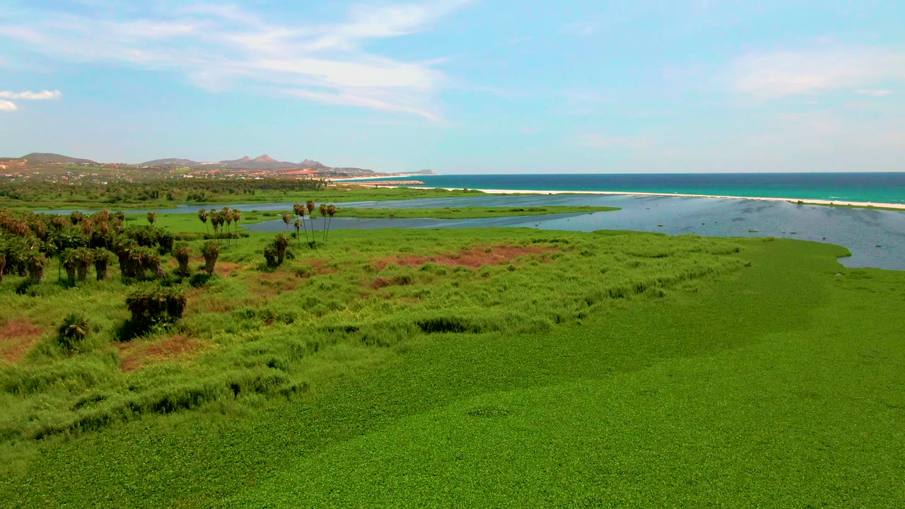 One second into the San Jose Del Cabo aerial, the foreground vegetation fills the lower frame while the waterway, ocean band, low hills, bright sky, and no visible people remain clear.
