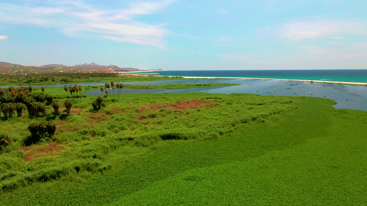 At 0:03, the aerial view over San Jose Del Cabo emphasizes small tree clusters on the left, dense wetland growth below, lagoon-like water, ocean, hills, bright sky, and no visible people.