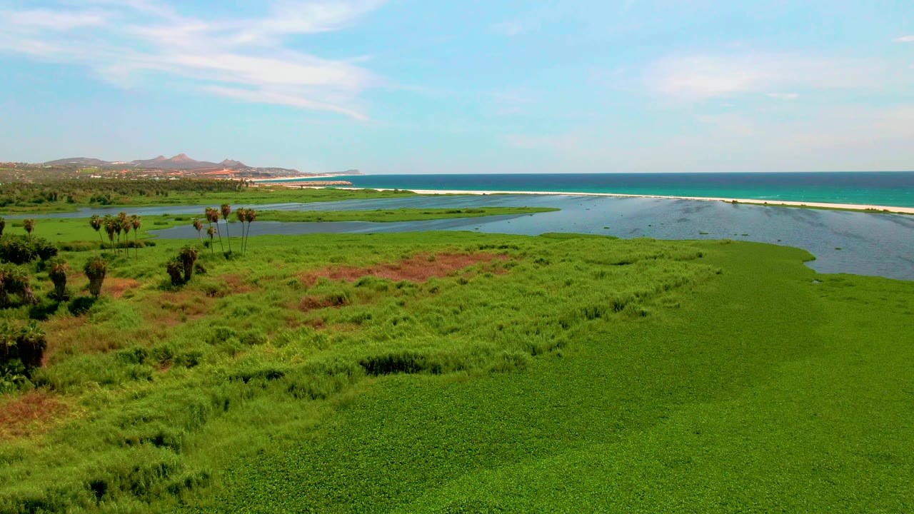Aerial frame over San Jose del Cabo showing bright green marsh in the foreground, calm lagoon water, a pale sandbar, blue ocean, low hills at left, and no visible people.