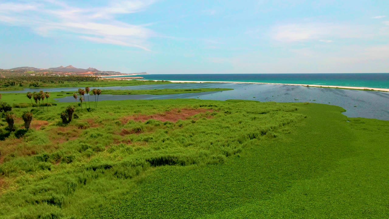 Aerial view in San Jose del Cabo with dense marsh filling the lower frame, lagoon channels across the middle, ocean beyond the sand strip, distant hills on the left, and no visible people.