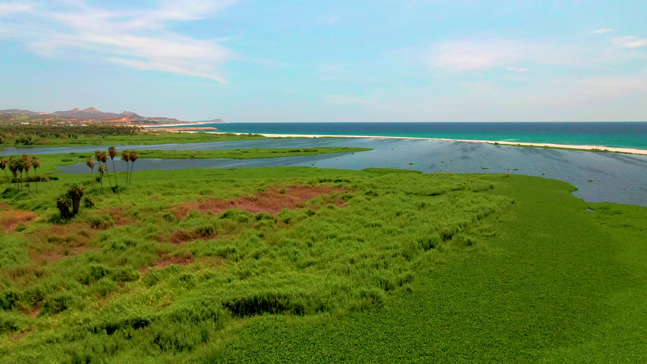 Wide San Jose del Cabo wetland frame with small trees near the left side, reddish patches in the grass, calm lagoon water across the center, ocean past the beach strip, and no visible people.