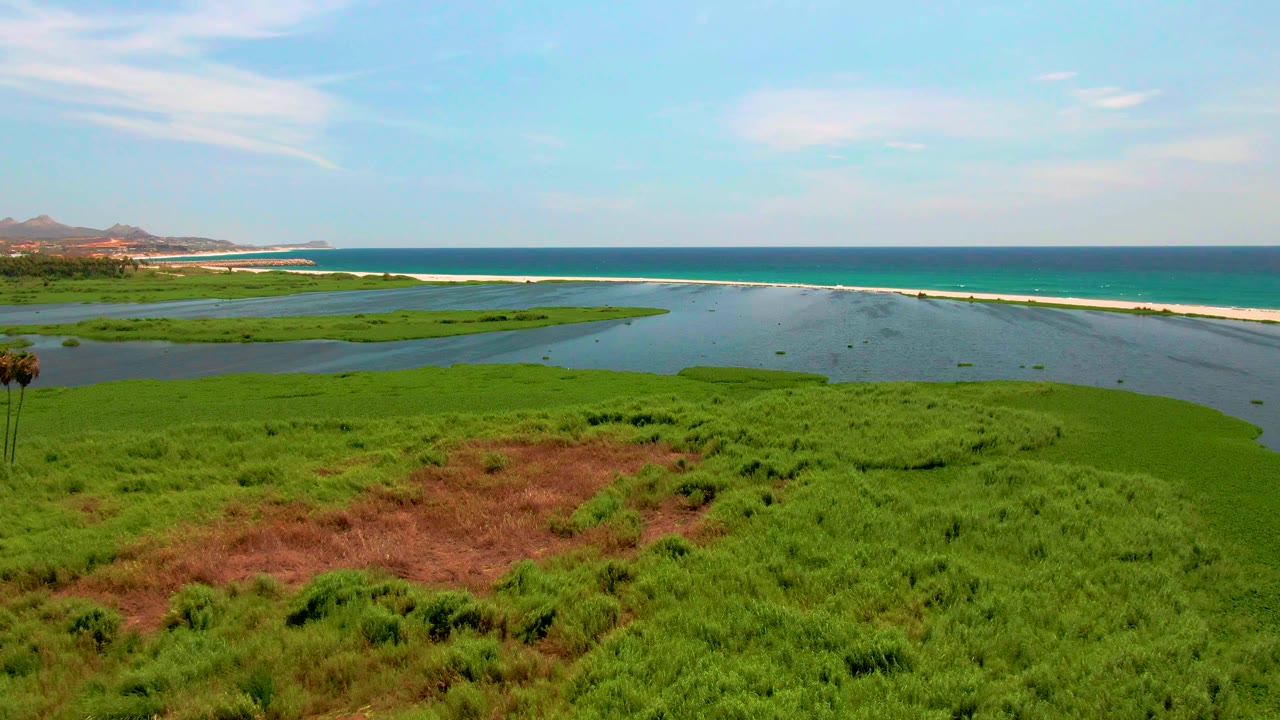 One second into the San Jose del Cabo clip, the aerial view keeps the lagoon centered while palms sit near the left edge, with green wetland grass, brown ground, ocean water, and no visible people.