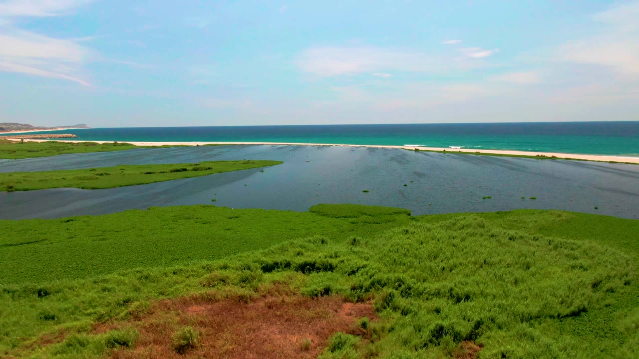 San Jose del Cabo wetland frame with a wide green marsh, shallow lagoon channels, a bright sandbar, turquoise-blue ocean, and no visible people.