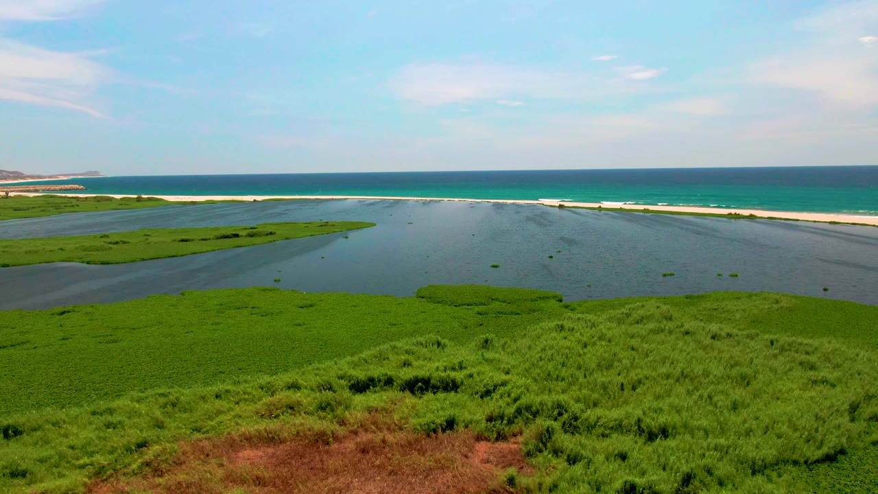 Aerial view over San Jose del Cabo marsh vegetation, with lagoon water curving through the midground, ocean waves behind a narrow sandbar, and no visible people.