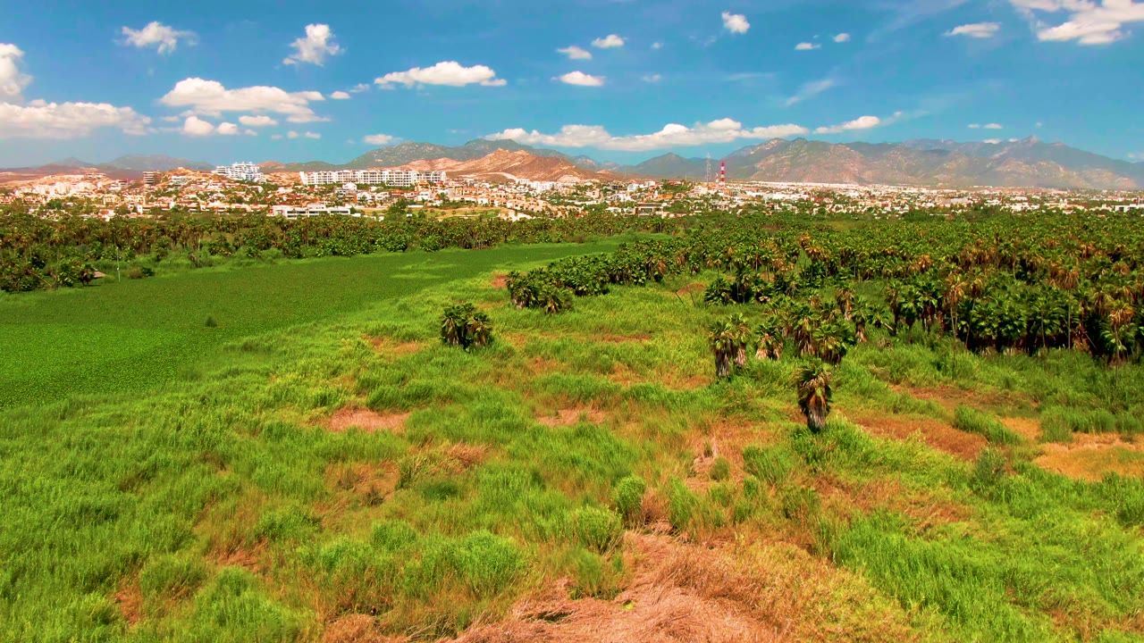 Opening aerial frame over green fields and palm trees in San Jose Del Cabo, with the city and mountains on the horizon under a blue sky, no visible people.