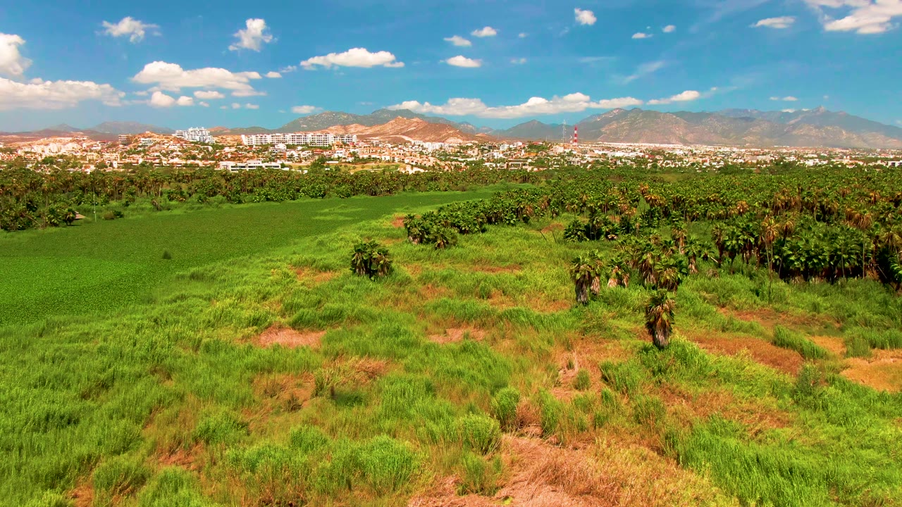 Wide elevated frame of grassy fields, palms, San Jose Del Cabo buildings, and a mountain backdrop beneath scattered white clouds, no visible people.