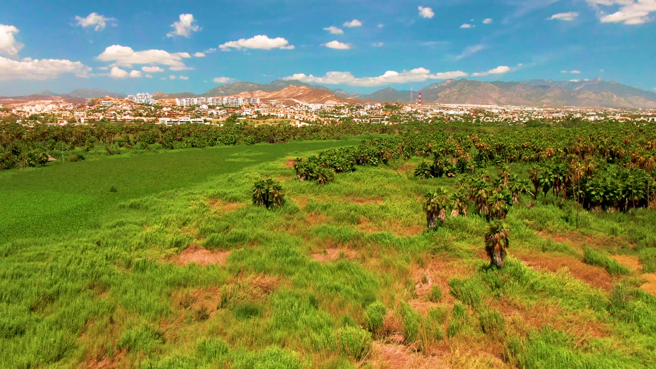 Aerial frame over mixed green grass, palm trees, and reddish dirt patches in San Jose Del Cabo, with distant buildings and mountains beyond, no visible people.