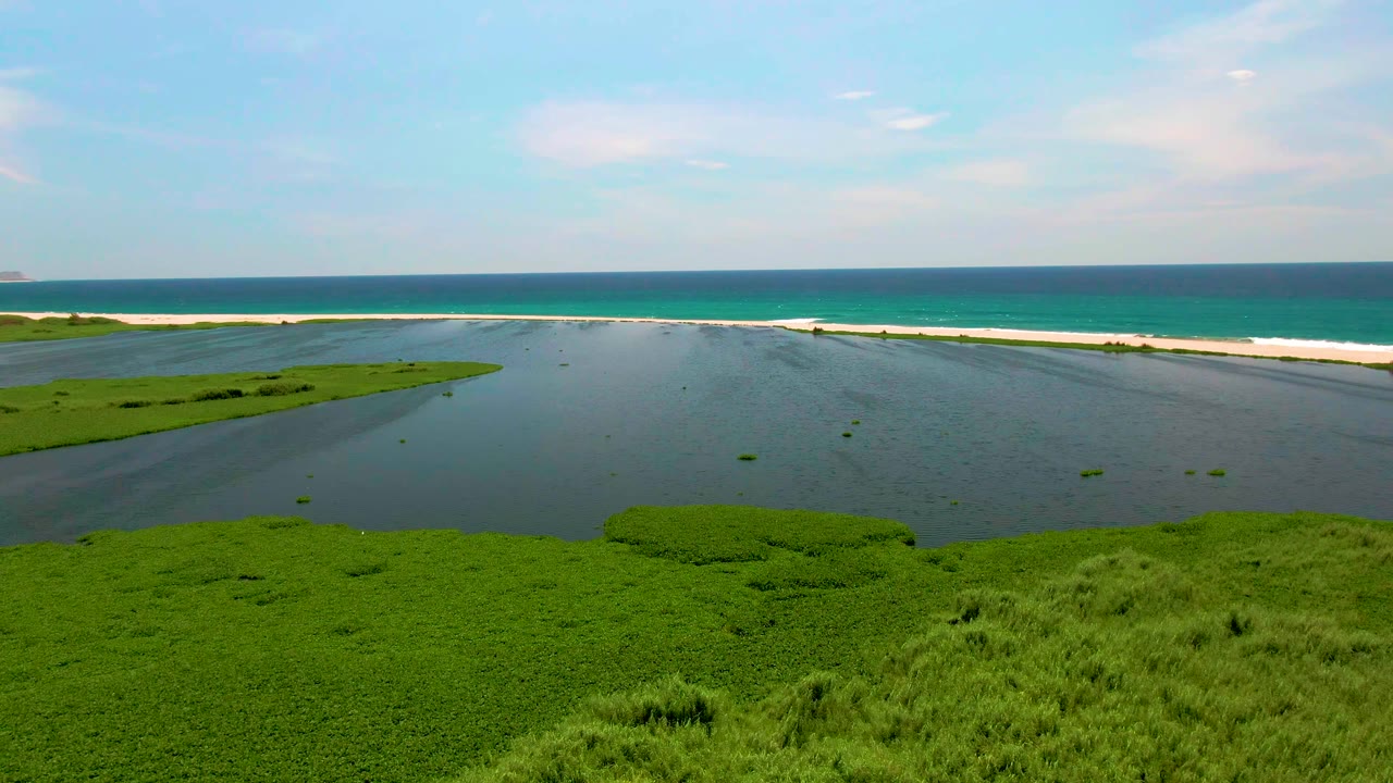 Aerial frame from San Jose del Cabo showing dense green marsh in front, shallow lagoon water, a pale sandbar, blue ocean, and no visible people.