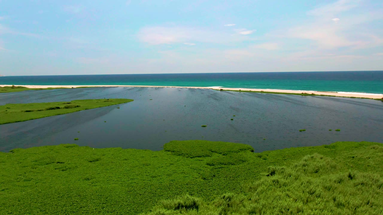 Aerial view in San Jose del Cabo with the green wetland filling the lower frame, lagoon water across the center, white sandbar at the coast, and no visible people.