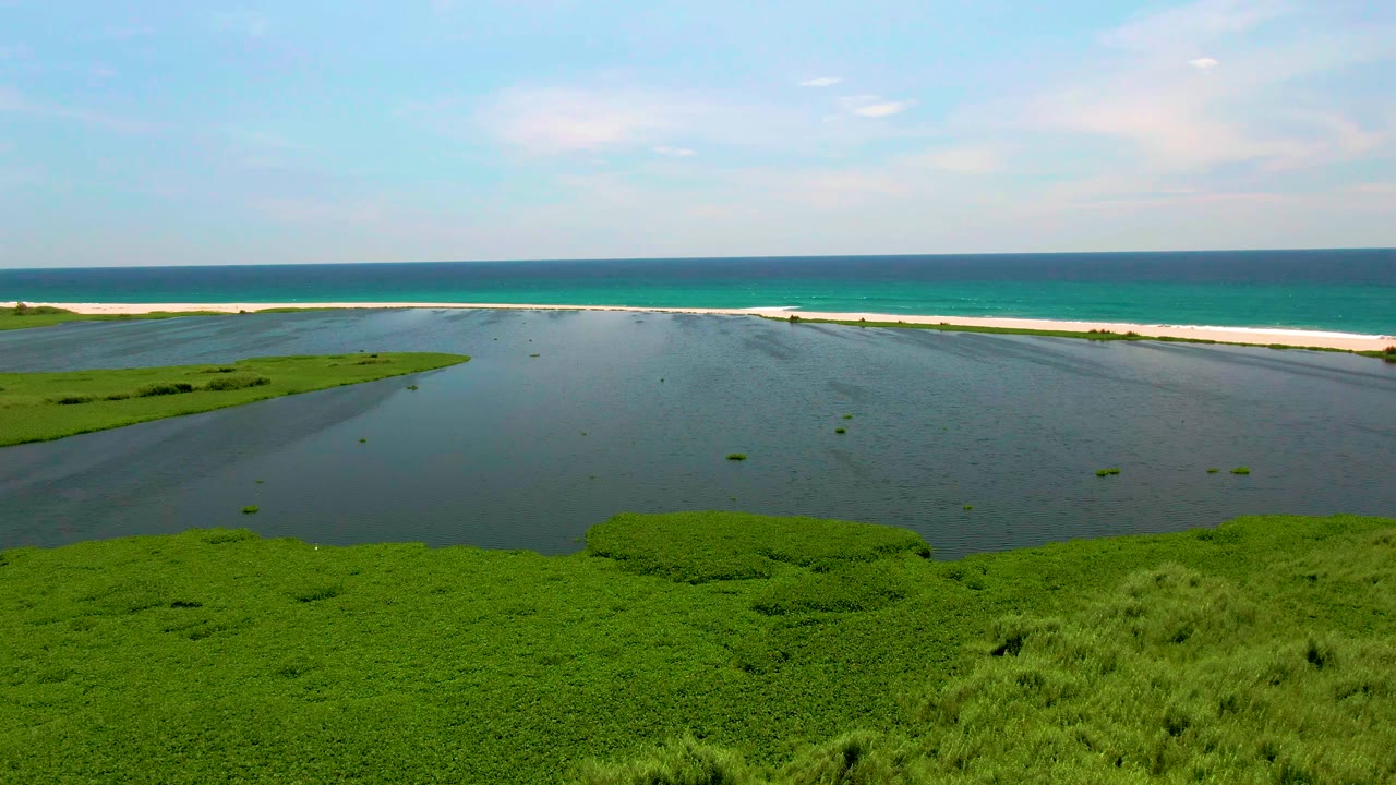 San Jose del Cabo aerial frame with bright marsh plants, dark shallow lagoon water, narrow sandbar, turquoise ocean, and no visible people.
