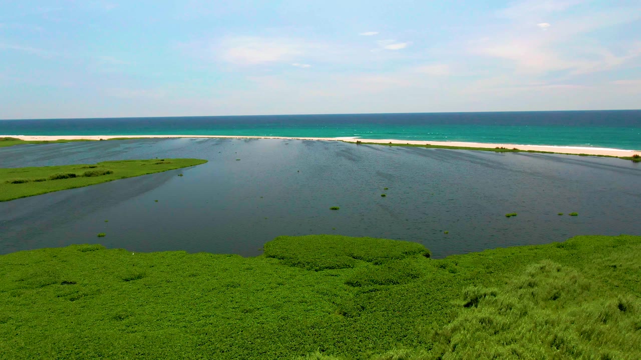 Aerial coastal marsh with lagoon water, exposed sand, ocean, and clear horizon.