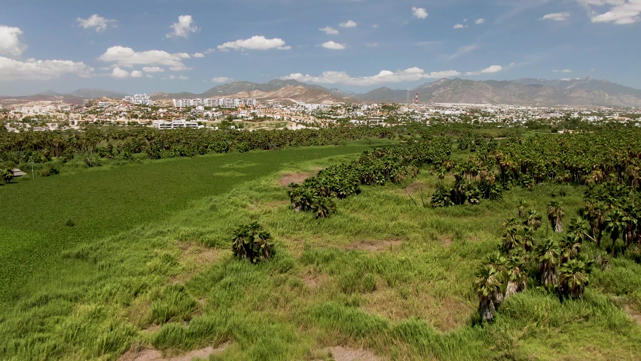 Aerial view over green fields toward a town and mountains.
