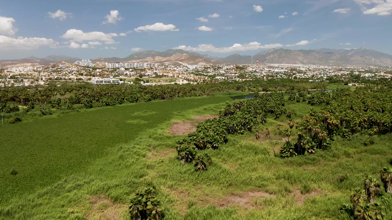 High aerial frame showing a broad green field beside darker palm growth, with San Jose Del Cabo buildings and a dry mountain range in the background, no visible people.