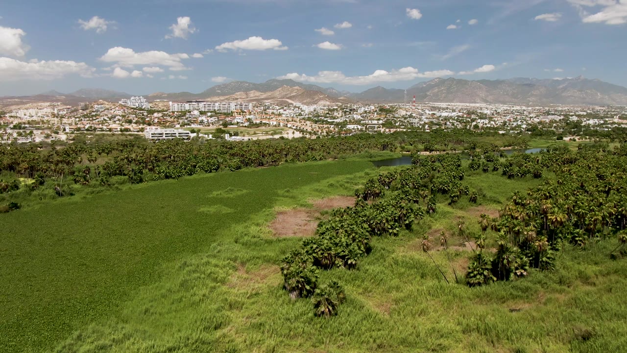 Mid-clip aerial frame reveals more of the small water body between trees and town buildings in San Jose Del Cabo, with green fields in front and no visible people.