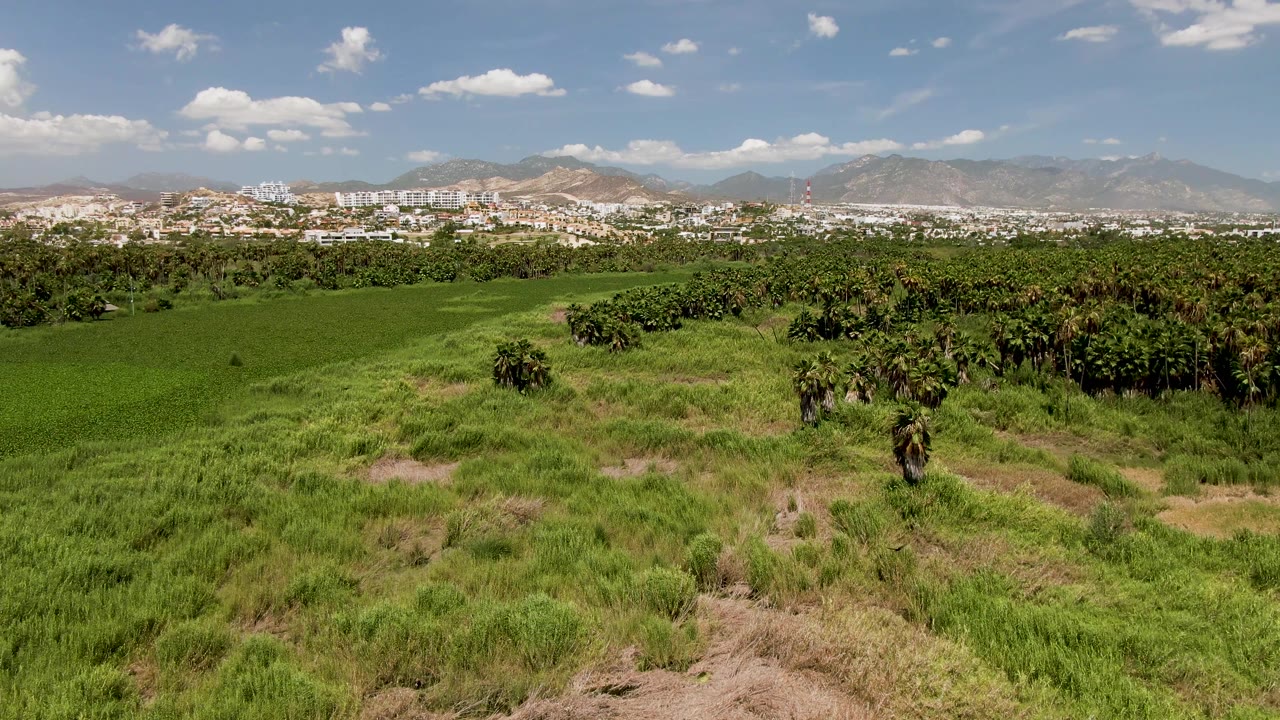 Opening aerial view in San Jose del Cabo, Mexico, with green field in the foreground, scattered trees, distant city buildings, hazy mountains, blue sky, and no visible people.