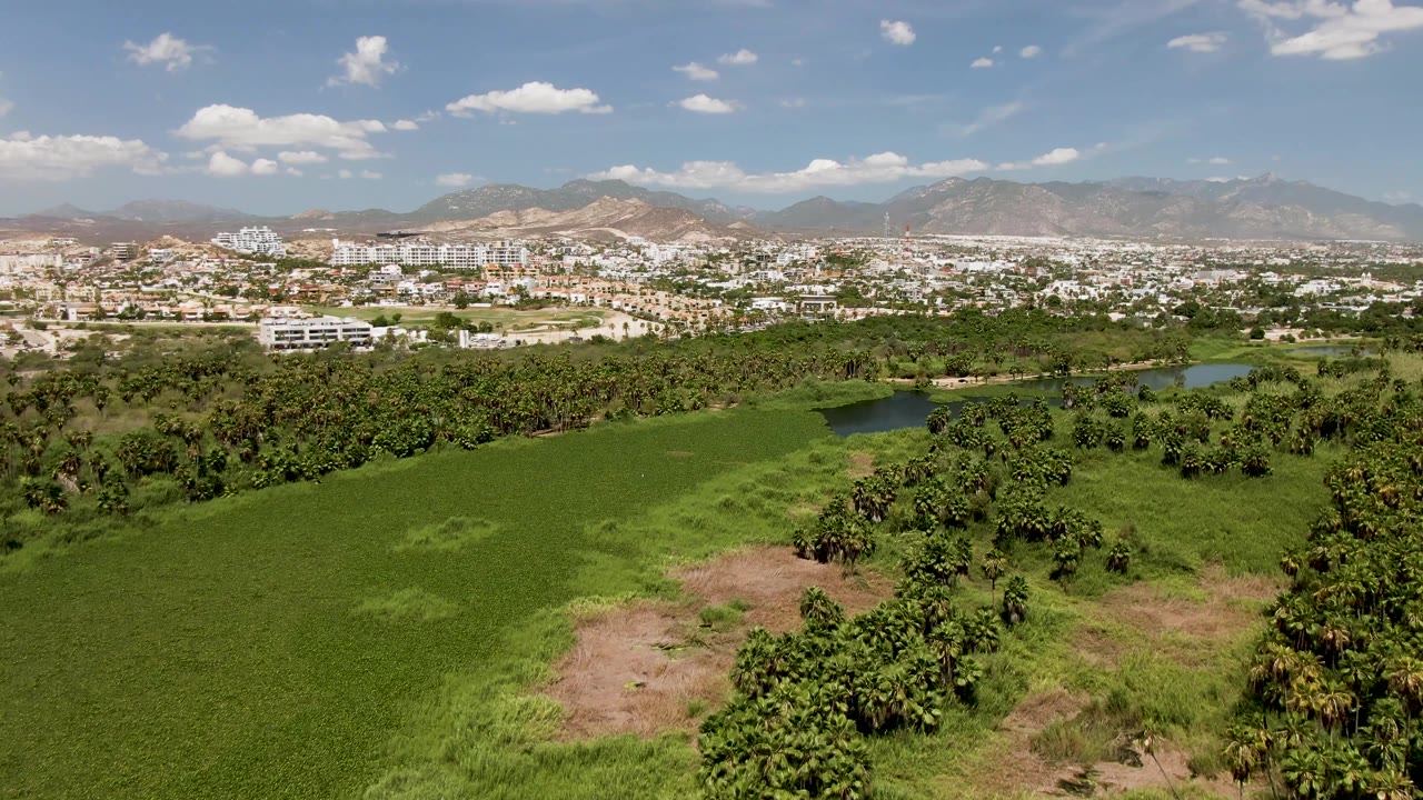 Opening aerial frame over green fields and tree clusters in San Jose Del Cabo, Baja California Sur, with small ponds, a distant town, mountains, scattered clouds, and no visible people.