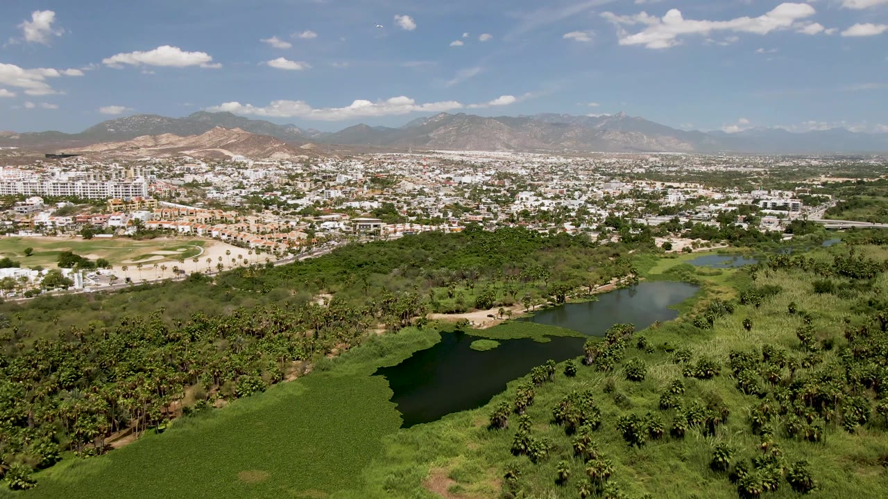 Mid-pan aerial frame over San Jose del Cabo with dense tree cover below, a small water body to the left, bright city blocks across the midground, mountains, and no visible people.