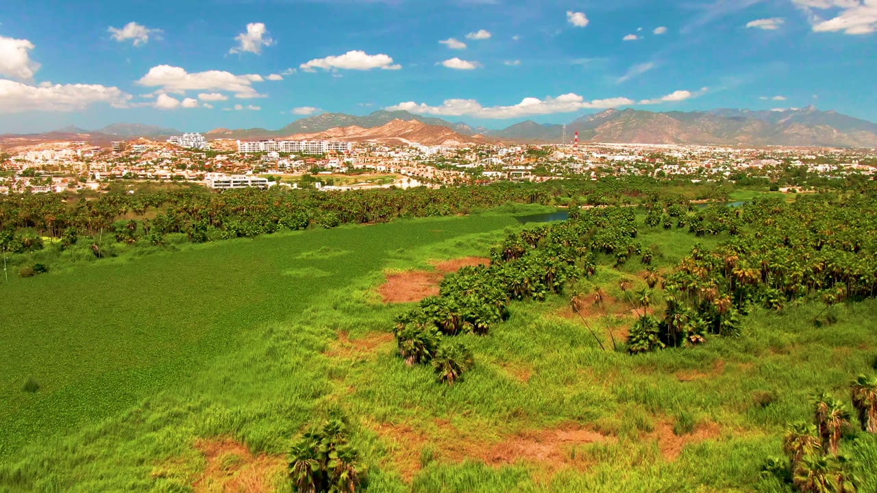 Opening aerial view in San Jose del Cabo, Mexico, with green fields and scattered trees in front of a distant city and mountains, no visible people.