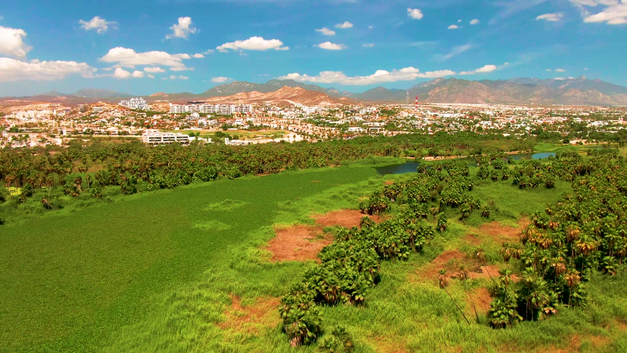 Mid-pan aerial view in San Jose del Cabo with red soil patches inside bright green fields, trees in the midground, and city buildings beneath mountains, no visible people.